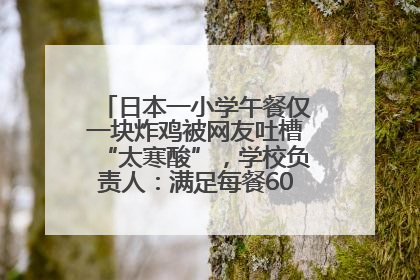 日本一小学午餐仅一块炸鸡被网友吐槽“太寒酸”，学校负责人：满足每餐600千卡的标准