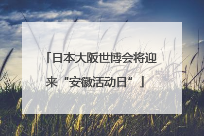日本大阪世博会将迎来“安徽活动日”