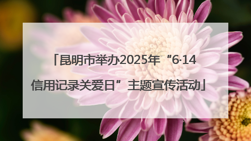 昆明市举办2025年“6·14信用记录关爱日”主题宣传活动