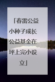 春雷公益小种子成长公益基金在坪上完小设立