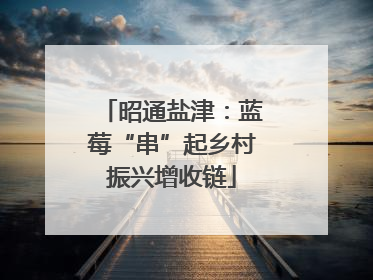 昭通盐津：蓝莓“串”起乡村振兴增收链