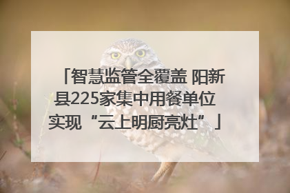 智慧监管全覆盖 阳新县225家集中用餐单位实现“云上明厨亮灶”