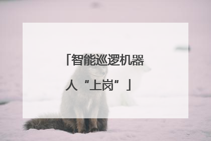 智能巡逻机器人“上岗”