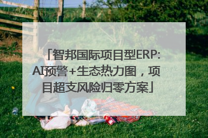 智邦国际项目型ERP:AI预警+生态热力图，项目超支风险归零方案