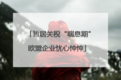 暂居关税“喘息期” 欧盟企业忧心忡忡