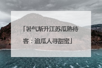 暑气渐升江苏瓜熟待客：追瓜人寻甜蜜