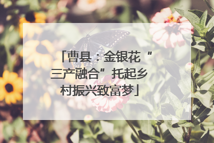 曹县：金银花“三产融合”托起乡村振兴致富梦