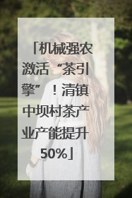 机械强农激活“茶引擎”！清镇中坝村茶产业产能提升50%