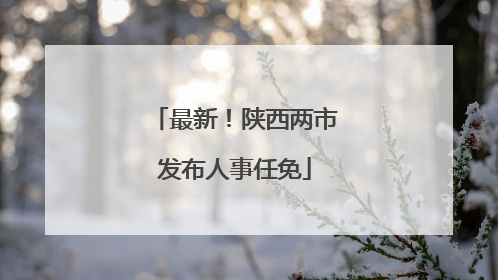 最新！陕西两市发布人事任免