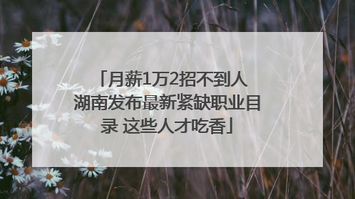 月薪1万2招不到人 湖南发布最新紧缺职业目录 这些人才吃香