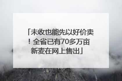 未收也能先以好价卖！全省已有70多万亩新麦在网上售出