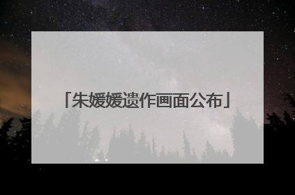 朱媛媛遗作画面公布