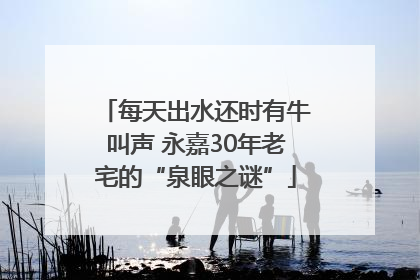 每天出水还时有牛叫声 永嘉30年老宅的“泉眼之谜”