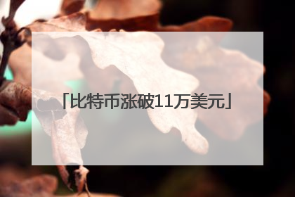 比特币涨破11万美元