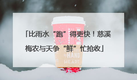 比雨水“跑”得更快！慈溪梅农与天争“鲜”忙抢收