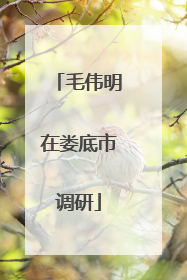 毛伟明在娄底市调研