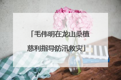 毛伟明在龙山桑植慈利指导防汛救灾