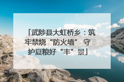 武陟县大虹桥乡：筑牢禁烧“防火墙” 守护夏粮好“丰”景