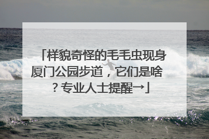 样貌奇怪的毛毛虫现身厦门公园步道，它们是啥？专业人士提醒→
