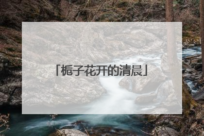 栀子花开的清晨