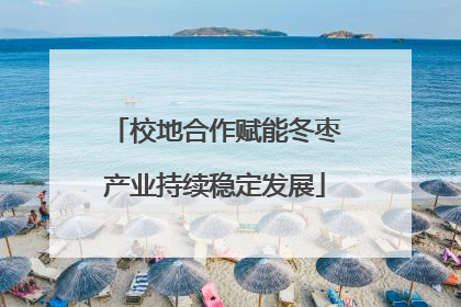 校地合作赋能冬枣产业持续稳定发展