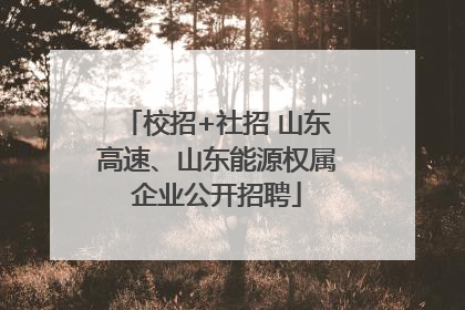 校招+社招 山东高速、山东能源权属企业公开招聘