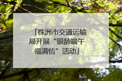 株洲市交通运输局开展“银龄端午福满情”活动