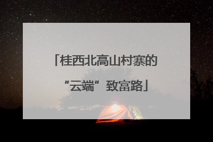桂西北高山村寨的“云端”致富路