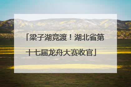梁子湖竞渡！湖北省第十七届龙舟大赛收官