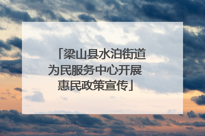 梁山县水泊街道为民服务中心开展惠民政策宣传
