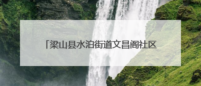 梁山县水泊街道文昌阁社区帮助高龄老人解决智能难题