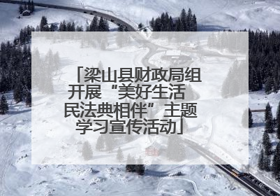 梁山县财政局组开展“美好生活 民法典相伴”主题学习宣传活动