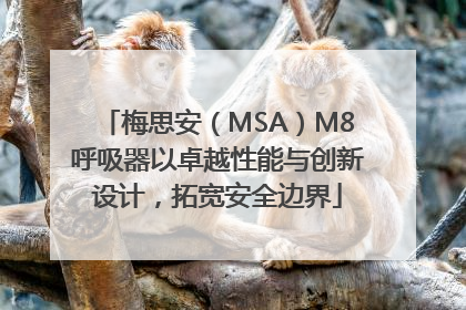 梅思安（MSA）M8呼吸器以卓越性能与创新设计，拓宽安全边界