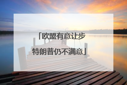 欧盟有意让步 特朗普仍不满意