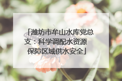 潍坊市牟山水库党总支：科学调配水资源 保障区域供水安全