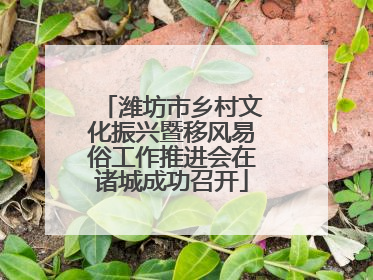 潍坊市乡村文化振兴暨移风易俗工作推进会在诸城成功召开
