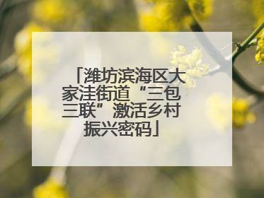 潍坊滨海区大家洼街道“三包三联”激活乡村振兴密码