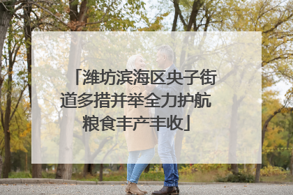 潍坊滨海区央子街道多措并举全力护航粮食丰产丰收