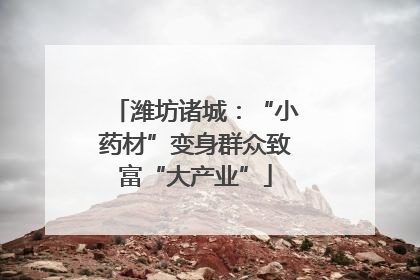 潍坊诸城：“小药材”变身群众致富“大产业”
