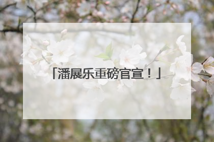 潘展乐重磅官宣！