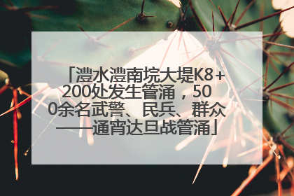 澧水澧南垸大堤K8+200处发生管涌，500余名武警、民兵、群众——通宵达旦战管涌