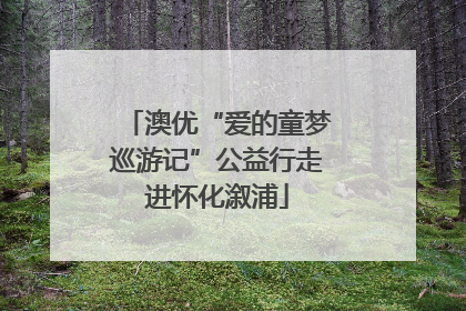 澳优“爱的童梦巡游记”公益行走进怀化溆浦