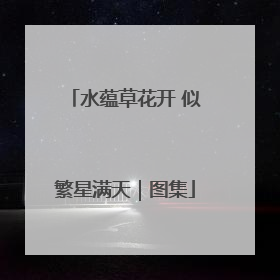 水蕴草花开 似繁星满天｜图集