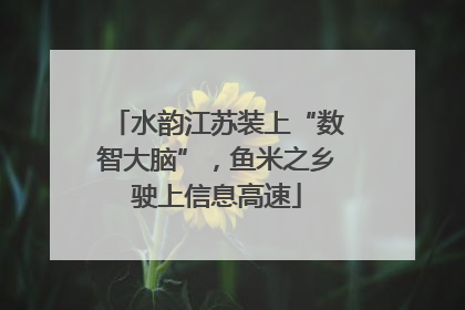 水韵江苏装上“数智大脑”，鱼米之乡驶上信息高速