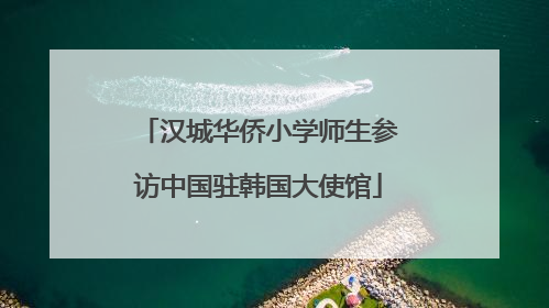 汉城华侨小学师生参访中国驻韩国大使馆