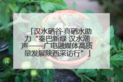 汉水硒谷·真硒水助力“秦巴新绿 汉水潮声——广电融媒体高质量发展陕西采访行”