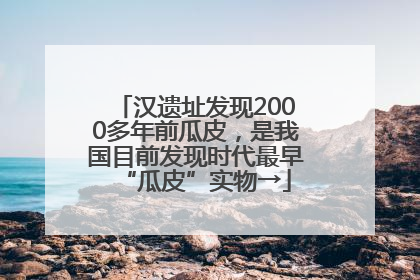 汉遗址发现2000多年前瓜皮，是我国目前发现时代最早“瓜皮”实物→