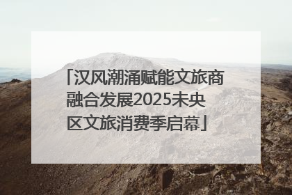 汉风潮涌赋能文旅商融合发展2025未央区文旅消费季启幕