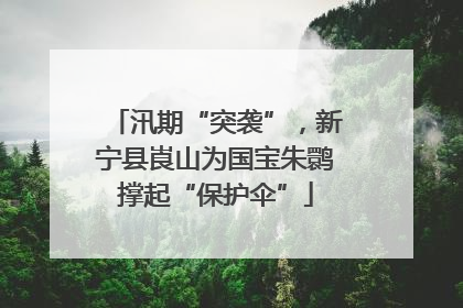 汛期“突袭”，新宁县崀山为国宝朱鹮撑起“保护伞”