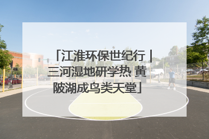 江淮环保世纪行｜三河湿地研学热 黄陂湖成鸟类天堂